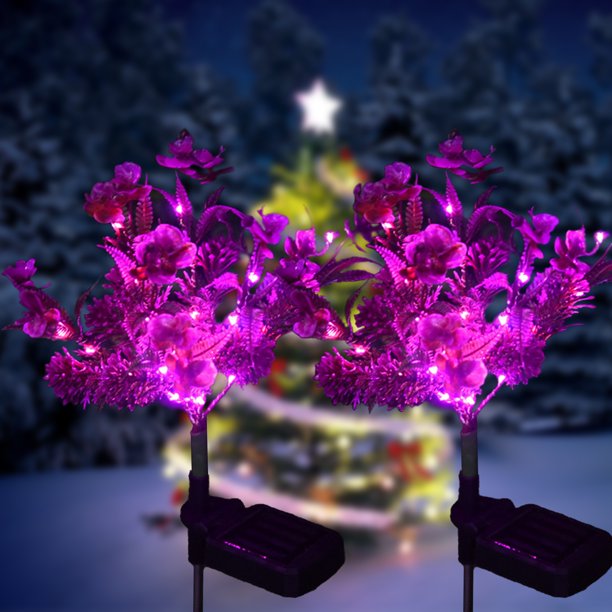 SolarEra Solar Lights Outdoor Garden Decorative, 2 Pcs Solar Powered