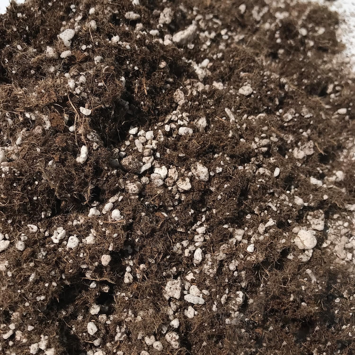 Navel Orange Tree Growing Soil Mix  1 Quart - Custom Soil Blend  Potting Mix for Navel Orange Trees  Specially Developed by and for Professional Nursery Growers - Nutrient-Rich Formula