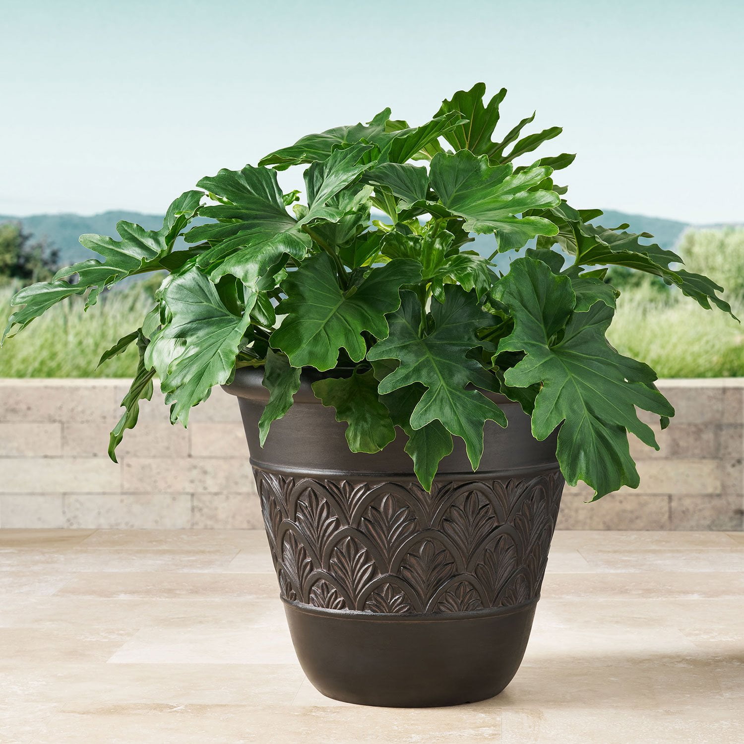 フラワー・ガーデニング P-CHAMBER.SRLMEX-S P-P POT neighborhood Tapered Shallow Type Plant Pot-S' SRL (Black) – MELLOWIST