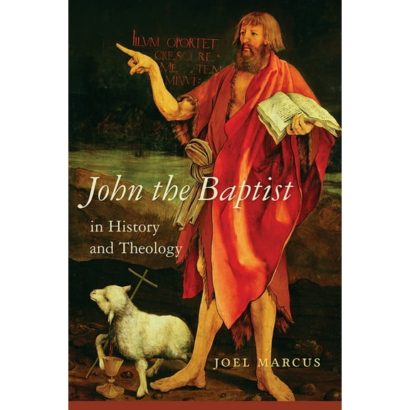 Studies on Personalities of the New Testament: John the Baptist in History and Theology (Hardcover)