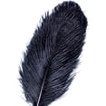 thumbnail image 1 of AWAYTR Plumas de avestruz naturales de 10 a 12 pulgadas (25 a 30 cm) para centros de mesa de boda, decoración del hogar, arreglos florales, decoraciones navideñas de bricolaje (10 unidades, blanco), 1 of 4