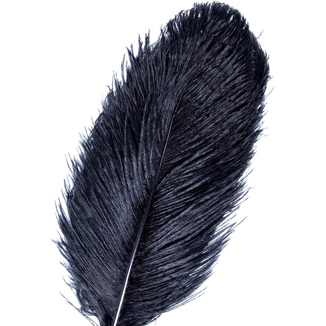 AWAYTR Plumas de avestruz naturales de 10 a 12 pulgadas (25 a 30 cm) para centros de mesa de boda, decoración del hogar, arreglos florales, decoraciones navideñas de bricolaje (10 unidades, blanco)