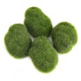 thumbnail image 4 of 12Pcs Green Artificial Moss Stones Simulation Grass Bryophyte Bonsai Garden DIY Landscape Decor, 4 of 4