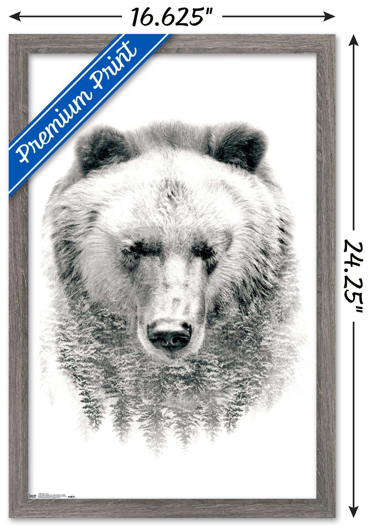 Bear - Trees Wall Poster, 14.725" x 22.375", Framed