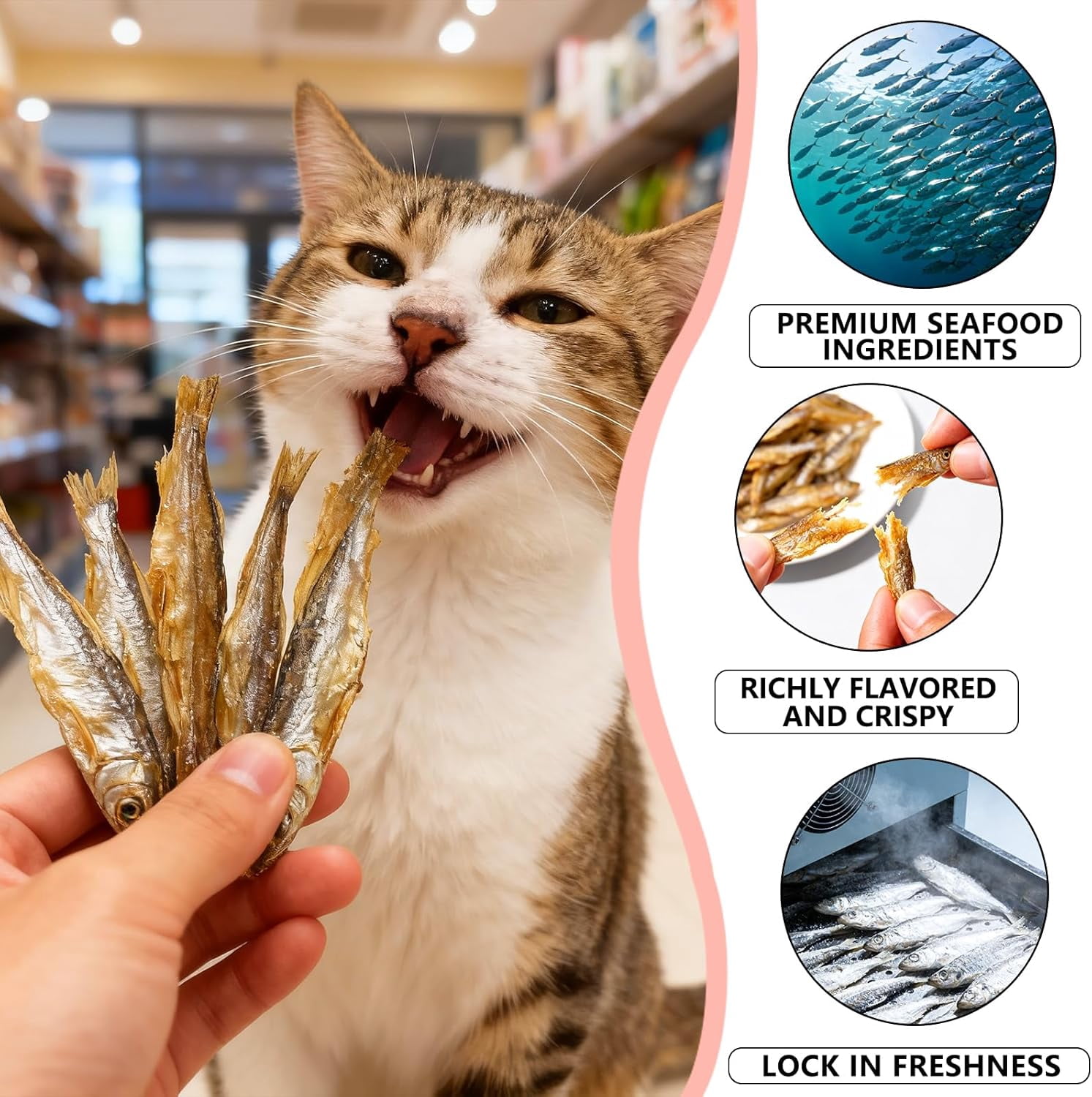 Jumbo Freeze-Dried Minnows 3 oz | Large Size 1.6-2.8 Inch Whole Fish | Natural Protein Snacks for Cats, Dogs, Turtles & Hamsters | Crunchy Treats for Dental Health (3 oz)