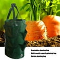 Cilantro Seeder Organic Home Garden Roller Containers 3 Gallon