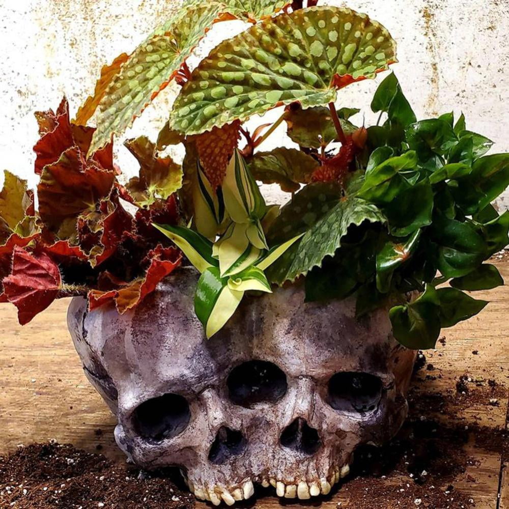 Skull Planter Flower Succulents Pot Carved Skeleton Flowerpot Sugar Cactus  Planter Pots Holder Candy Bowl Halloween Statue Sculpture Skeleton Decor  for Home Office 