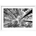 thumbnail image 2 of Art.com Looking Up I BW Art Print by Aledanda, White Frame Wall Art, 23" x 17", 2 of 5