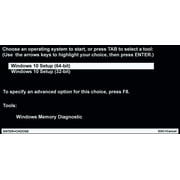 Computer Werx Windows 10 Professional Repair Install DVD with Key & Office 2024, 2 PK