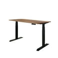 thumbnail image 6 of Caesar Hardware A3-52B Ergonomic 52-in 3 Memory Buttons LED Electric Automatic Height Adjustable Sit to Stand Work Office Desk, Multiple Colors, 6 of 9