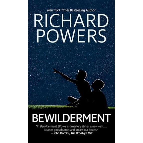 Pre-Owned Bewilderment (Library Binding) 1432897799 9781432897796
