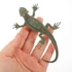 thumbnail image 4 of 18pcs Fake Realistic Lizard Figurines Plastic Lizard Toy Figures Animal Figure Lizard Model, 4 of 4