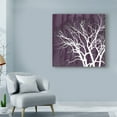 thumbnail image 3 of Trademark Fine Art 'Aurora Silhouette I' Canvas Art by Alicia Ludwig, 3 of 4
