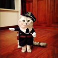 thumbnail image 4 of Disfraz de Mascota Estilo Policía Perro Jeans Ropa Gato Apariencia Divertida,11 Feliz Sencillez, 4 of 5