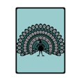 thumbnail image 1 of RYLABLUE Beautiful Peacock Feather Fleece Blanket Throw Blanket 58x80 inches, 1 of 1