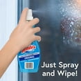 thumbnail image 5 of Windex Glass Cleaner with Sprayer, 12 fl oz, 5 of 7