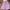 Purple, variant on FAIWAD Summer Solid Color Shorts for Women High Waist Tie Front Wide Leg Shorts Casual Smocked Shorts with Pockets