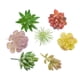 thumbnail image 4 of Simulación de traje carnoso, simulación de cabeza de flor, simulación de ramo, simulación de planta, decoraciones para el hogar, 4 of 5