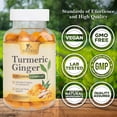 thumbnail image 4 of Turmeric Curcumin Supplement Gummies - 95% Curcuminoids with Turmeric & Ginger, Black Pepper for Best Absorption, Nature's Vegan Joint Support, Non-GMO, Gluten Free, Tasty Peach Flavor - 120 Gummies, 4 of 10