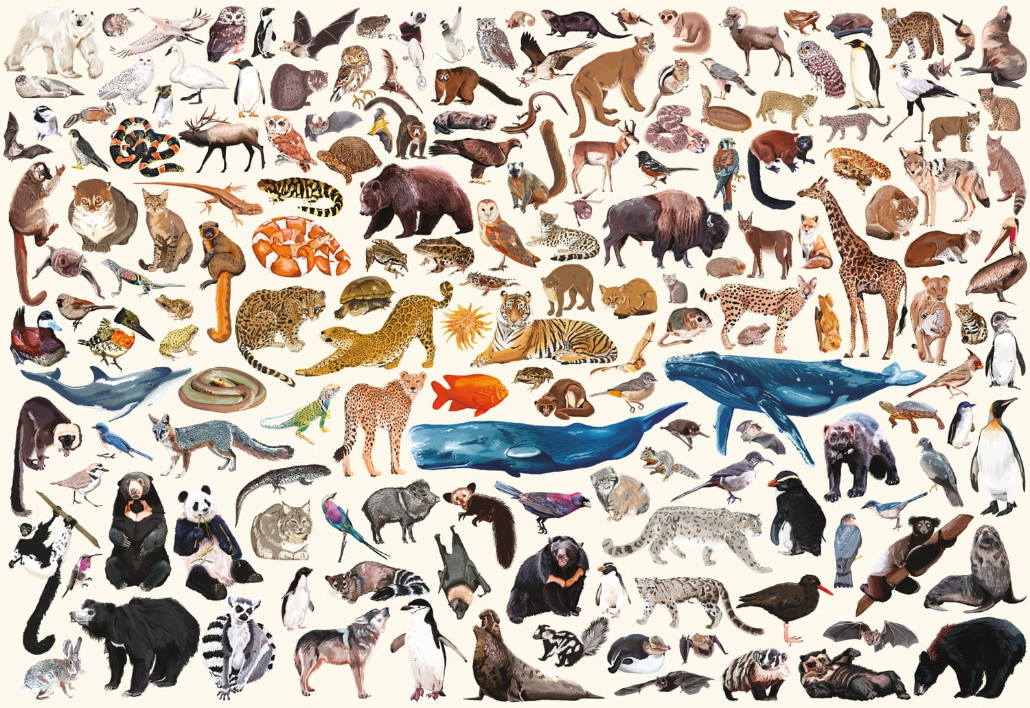 Buffalo Games Conservation Collage 2000-Piece Interlocking Jigsaw Puzzle for Adults Ages 14 and Older