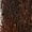 Star, variant on Rockin` Y Saddlery Leather-Covered Canteen with Inlay Longhorn LARGE