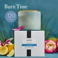 thumbnail image 5 of LAFCO New York 3-Wick Candle, Sea & Dune - 30 oz, 5 of 6