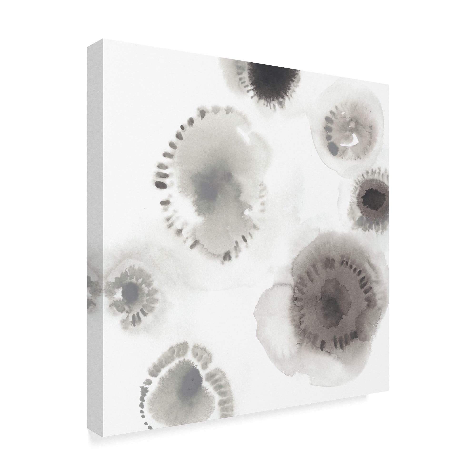 Trademark Fine Art 'Concentric Petals II' Canvas Art by June Erica Vess