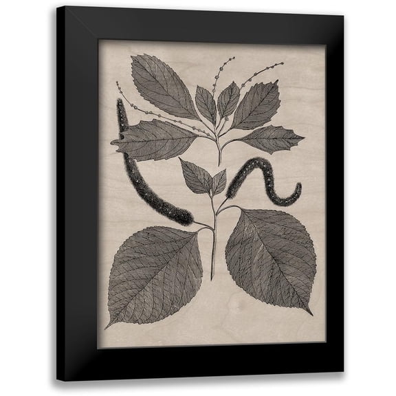 Vision Studio 12x14 Black Modern Framed Museum Art Print Titled - Eloquent Leaves II