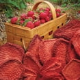 thumbnail image 6 of Brothers All Natural Freeze Dried Fruit Crisps, Strawberry, 0.26 Oz (Pack of 12), Made with 100% Fruit, Gluten Free, Soy Free, Vegan, Healthy Snack, Lunch Box Ready | Packaging May Vary, 6 of 6