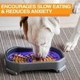 thumbnail image 6 of Neater Pets Neat-Lik Slow Feed Licking Pad for Dogs & Cats with Mess-Proof Tray, Purple Mat, 6 of 11