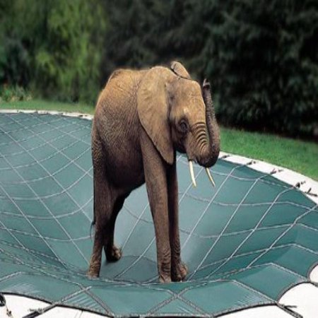 - Loop Loc Safety Pool Cover - 16' x 38'