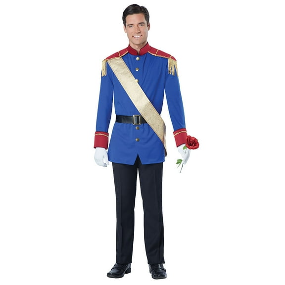 Prince Storybook Men's Costume