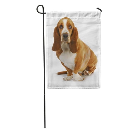 Nudecor Brown Dog Basset Hound Sitting Looking At Viewer On Years Old Adorable Garden Flag Decorative Flag House Banner 12x18 Inch Walmart Canada