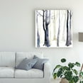 thumbnail image 3 of Trademark Fine Art 'In the Forest I' Canvas Art by Grace Popp, 3 of 3