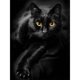 thumbnail image 2 of Cuadros Decorativos Kit de pintura de diamantes 5D, mosaico de taladro redondo completo de gato negro DIY (HJ499) DQrwqpou Nuevos Originales, 2 of 9