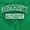 Irish Green, variant on Massachusetts Student Alumni Gameday Men's Graphic T Shirt Tees Brisco Brands S