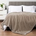 thumbnail image 5 of PAVILIA Soft Fleece Sherpa Throw Blanket for Sofa Couch Bed, Taupe, 50x60, 5 of 7