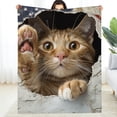 thumbnail image 2 of Creowell Cute Cat Home Leisure Flannel Blanket Durable Soft and Warm Multifunctional for Sofa Travel Camping Bed Chair All Season Gift Blanket 30x40in, 2 of 7