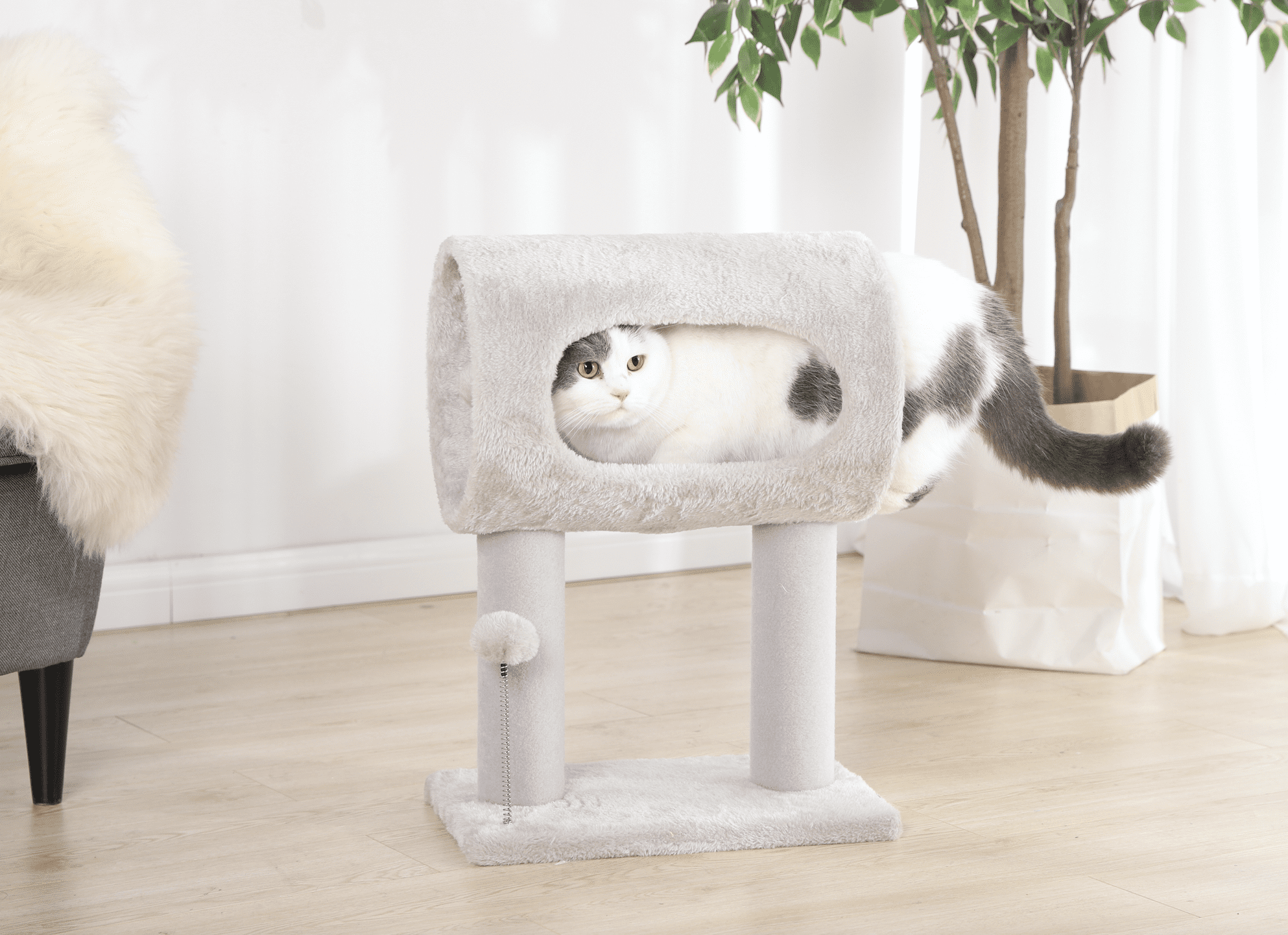 Vibrant Life Elevated Cat Tunnel Bed, Gray, 20"