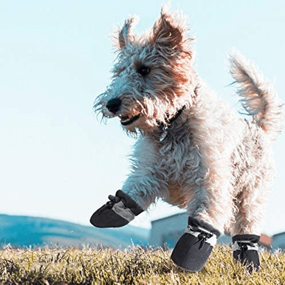 Heily Dog Shoes For Hot Pavement Paw Protector Anti Slip Sole Summer Cat Dog Boots With Reflective Straps 4pcs Black 3