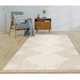 thumbnail image 1 of LaDole Rugs 3x10 ft Fluffy Shaggy Area Runner Rug | Machine Washable Long Carpet For Hallway, Kitchen, Entry Way, Indoor Floor Décor | Beige, 1 of 5