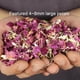 thumbnail image 3 of Flores Secas Boda Fiesta Confeti Pétalos de rosa secos Flor seca ecológica 5 bolsas Sywqhk Libre de BPA, 3 of 7