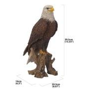 Bald Eagle On Stump