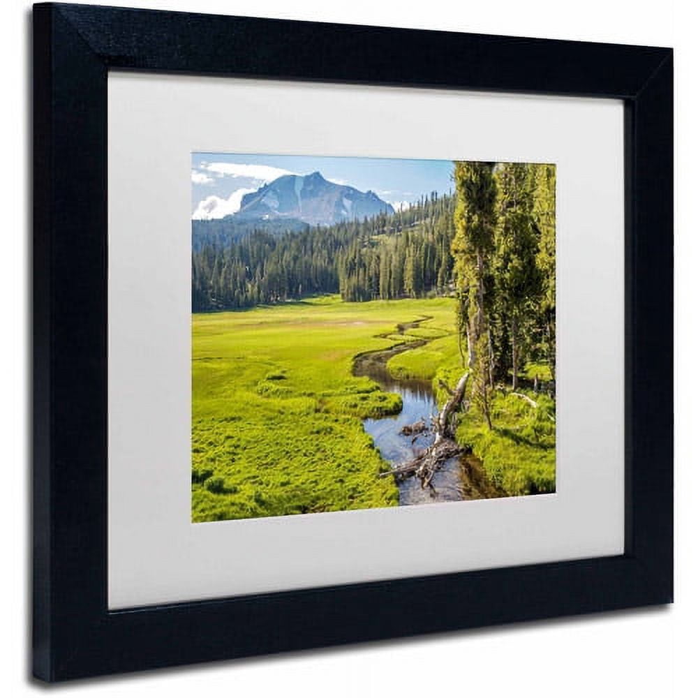 Trademark Fine Art "Lassen Meadow" Canvas Art by Pierre Leclerc, White Matte/Black Frame