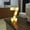 light up sign, variant on Led Number Lights, Battery Operated Glowing Numbers, Party Wedding Festival Decoration, Wall Hanging Standing Design, 22Cm Size, 0-9 Available, Indoor Use, Not Included