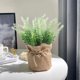 thumbnail image 5 of Artificial Plant In Pots Mini Potted Flowers Plant In Cloth For Home Decor Party Wedding Garden Table Office Patio Decoration, 5 of 6