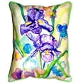 thumbnail image 2 of Two Irises Large Indoor/Outdoor Pillow 16x20, 2 of 4