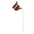 thumbnail image 1 of Kettle Shower Light Decorative Hanging Garden Art Light Watering Can Light, 1 of 10