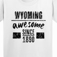 thumbnail image 4 of Inktastic Wyoming Awesome Since 1890 Youth T-Shirt, 4 of 5
