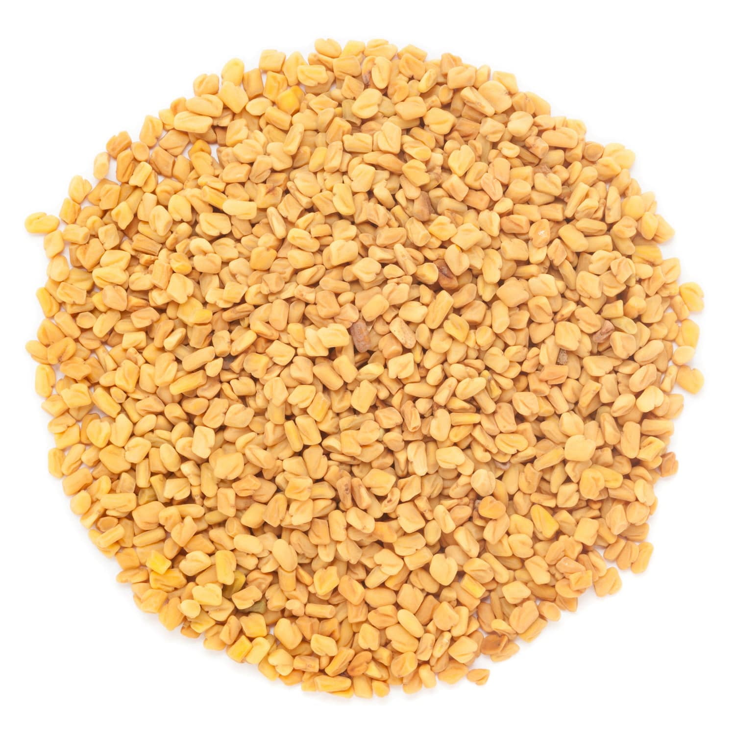 Organic Fenugreek Seeds, 50 Pounds — NonGMO, Raw, Whole Methi, Kosher